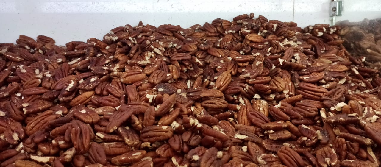 WhatsApp Image 2025-11-18 at 9.15.13 AM